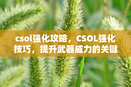 csol强化攻略,CSOL强化技巧,提升武器威力的关键步骤 csol强化攻略,CSOL强化技巧,提升武器威力的关键步骤