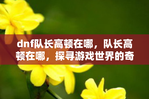 dnf队长高顿在哪,队长高顿在哪,探寻游戏世界的奇妙之旅 dnf队长高顿在哪,队长高顿在哪,探寻游戏世界的奇妙之旅