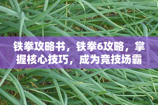 铁拳攻略书,铁拳6攻略,掌握核心技巧,成为竞技场霸主 铁拳攻略书,铁拳6攻略,掌握核心技巧,成为竞技场霸主