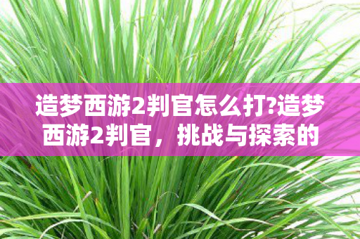 造梦西游2判官怎么打?造梦西游2判官,挑战与探索的奇幻之旅 造梦西游2判官怎么打?造梦西游2判官,挑战与探索的奇幻之旅