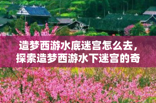 造梦西游水底迷宫怎么去,探索造梦西游水下迷宫的奇幻之旅 造梦西游水底迷宫怎么去,探索造梦西游水下迷宫的奇幻之旅