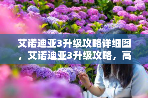 艾诺迪亚3升级攻略详细图,艾诺迪亚3升级攻略,高效提升角色等级指南 艾诺迪亚3升级攻略详细图,艾诺迪亚3升级攻略,高效提升角色等级指南