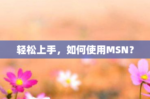 轻松上手,如何使用MSN? 轻松上手,如何使用MSN?
