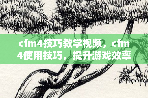 cfm4技巧教学视频,cfm4使用技巧,提升游戏效率与体验的全面指南 cfm4技巧教学视频,cfm4使用技巧,提升游戏效率与体验的全面指南