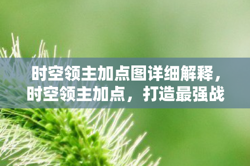 时空领主加点图详细解释，时空领主加点，打造最强战斗力的策略指南