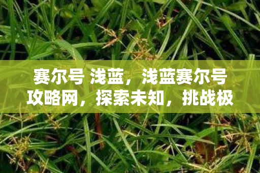 赛尔号 浅蓝,浅蓝赛尔号攻略网,探索未知,挑战极限 赛尔号 浅蓝,浅蓝赛尔号攻略网,探索未知,挑战极限