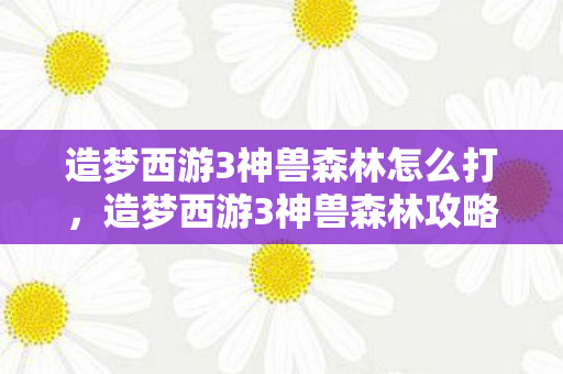 造梦西游3神兽森林怎么打,造梦西游3神兽森林攻略,挑战与策略 造梦西游3神兽森林怎么打,造梦西游3神兽森林攻略,挑战与策略