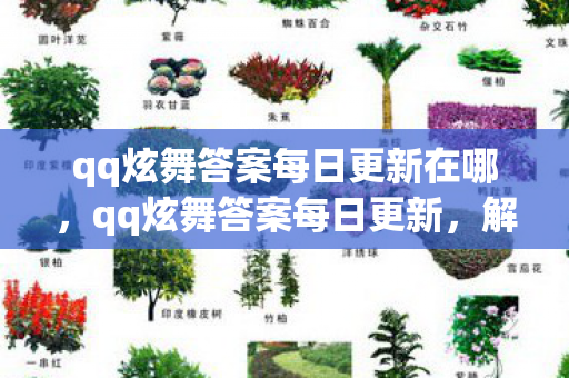 qq炫舞答案每日更新在哪,qq炫舞答案每日更新,解锁游戏新挑战,提升你的舞蹈技巧 qq炫舞答案每日更新在哪,qq炫舞答案每日更新,解锁游戏新挑战,提升你的舞蹈技巧