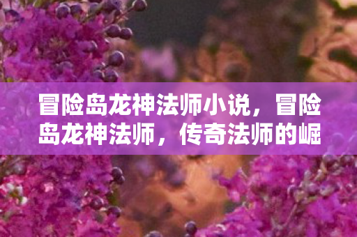 冒险岛龙神法师小说,冒险岛龙神法师,传奇法师的崛起与荣耀 冒险岛龙神法师小说,冒险岛龙神法师,传奇法师的崛起与荣耀