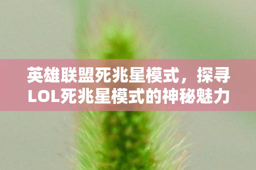 英雄联盟死兆星模式，探寻LOL死兆星模式的神秘魅力