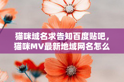 猫咪域名求告知百度贴吧,猫咪MV最新地域网名怎么取? 猫咪域名求告知百度贴吧,猫咪MV最新地域网名怎么取?