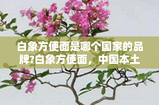 白象方便面是哪个国家的品牌?白象方便面,中国本土品牌的崛起 白象方便面是哪个国家的品牌?白象方便面,中国本土品牌的崛起