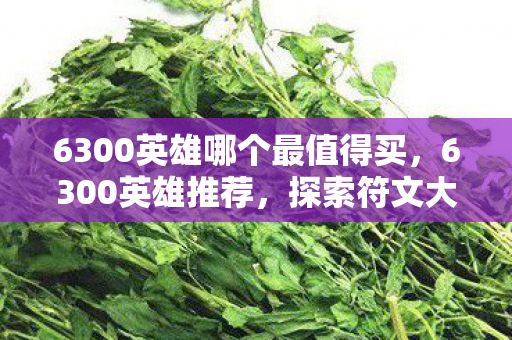 6300英雄哪个最值得买，6300英雄推荐，探索符文大地的传奇英雄—艾翁