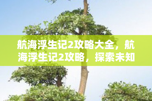 航海浮生记2攻略大全,航海浮生记2攻略,探索未知海域,成就航海霸业 航海浮生记2攻略大全,航海浮生记2攻略,探索未知海域,成就航海霸业