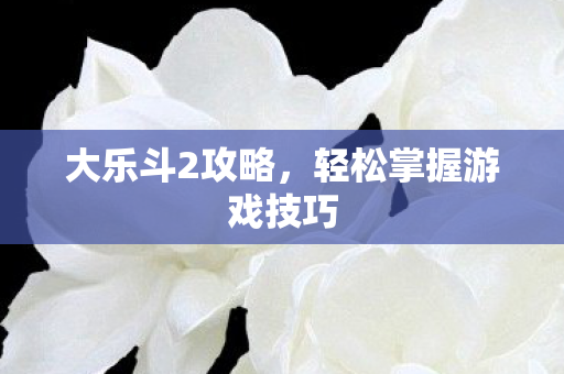 大乐斗2攻略,轻松掌握游戏技巧 大乐斗2攻略,轻松掌握游戏技巧