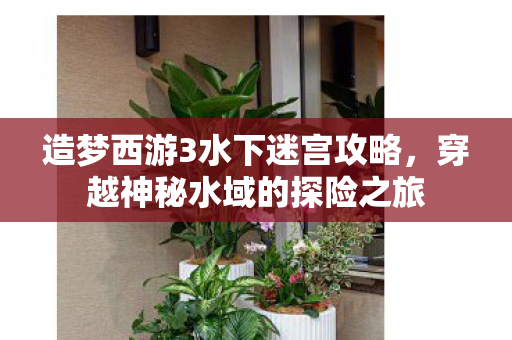 造梦西游3水下迷宫攻略,穿越神秘水域的探险之旅 造梦西游3水下迷宫攻略,穿越神秘水域的探险之旅
