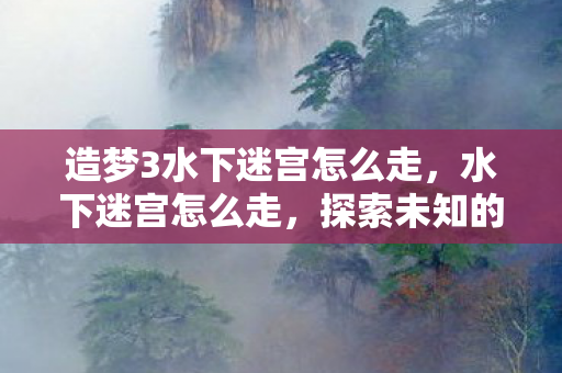 造梦3水下迷宫怎么走，水下迷宫怎么走，探索未知的水下世界