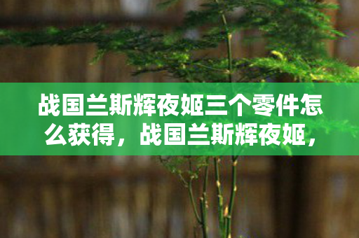 战国兰斯辉夜姬三个零件怎么获得，战国兰斯辉夜姬，探索古老传说中的神秘女子