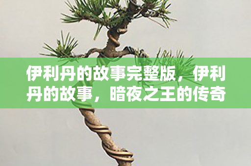 伊利丹的故事完整版,伊利丹的故事,暗夜之王的传奇 伊利丹的故事完整版,伊利丹的故事,暗夜之王的传奇