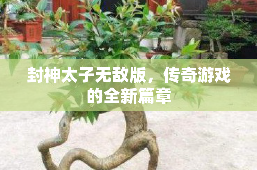 封神太子无敌版,传奇游戏的全新篇章 封神太子无敌版,传奇游戏的全新篇章
