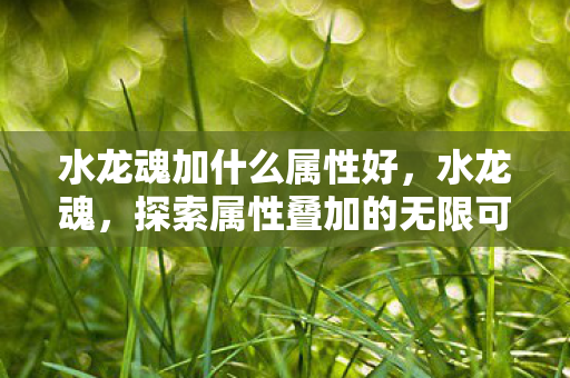 水龙魂加什么属性好，水龙魂，探索属性叠加的无限可能