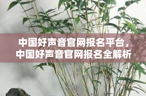 中国好声音官网报名平台，中国好声音官网报名全解析，梦想舞台的起点