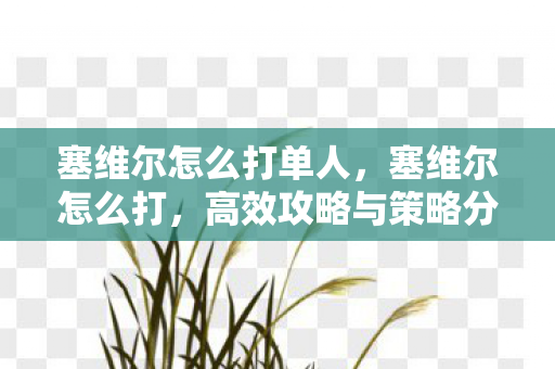 塞维尔怎么打单人，塞维尔怎么打，高效攻略与策略分享