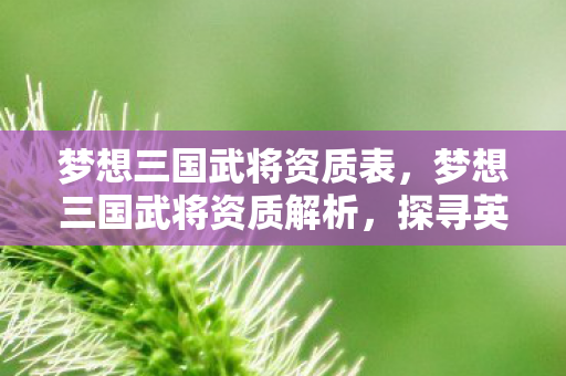 梦想三国武将资质表,梦想三国武将资质解析,探寻英雄背后的力量 梦想三国武将资质表,梦想三国武将资质解析,探寻英雄背后的力量