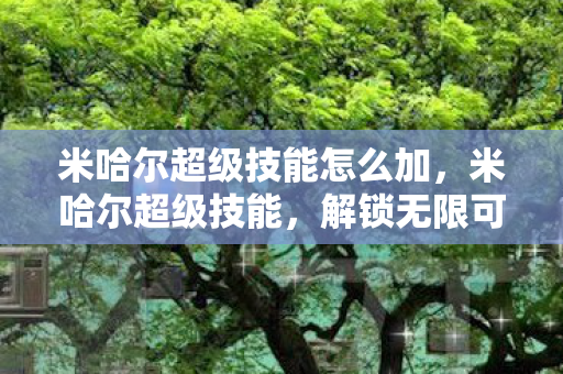 米哈尔超级技能怎么加，米哈尔超级技能，解锁无限可能的冒险之旅