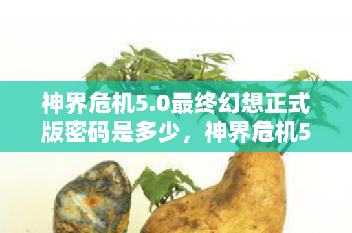 神界危机5.0最终幻想正式版密码是多少,神界危机5.0,解锁最终幻想正式版的神秘密码 神界危机5.0最终幻想正式版密码是多少,神界危机5.0,解锁最终幻想正式版的神秘密码