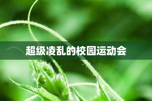 超级凌乱的校园运动会 超级凌乱的校园运动会