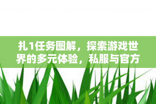 扎1任务图解,探索游戏世界的多元体验,私服与官方服务器的差异与共存 扎1任务图解,探索游戏世界的多元体验,私服与官方服务器的差异与共存