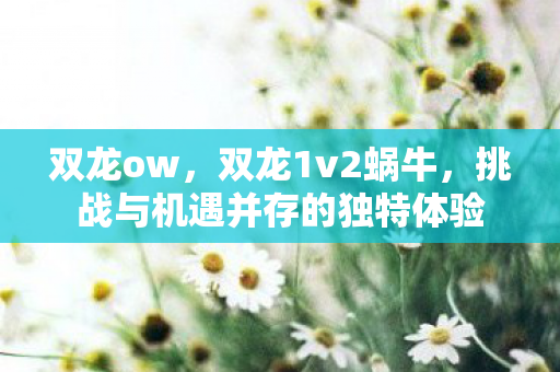 双龙ow,双龙1v2蜗牛,挑战与机遇并存的独特体验 双龙ow,双龙1v2蜗牛,挑战与机遇并存的独特体验