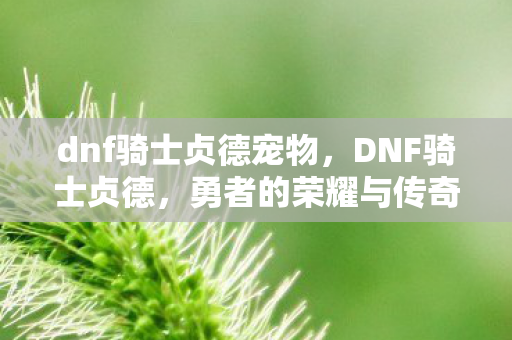 dnf骑士贞德宠物,DNF骑士贞德,勇者的荣耀与传奇 dnf骑士贞德宠物,DNF骑士贞德,勇者的荣耀与传奇