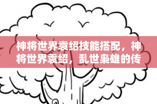 神将世界袁绍技能搭配，神将世界袁绍，乱世枭雄的传奇之路