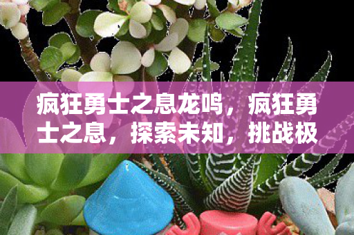 疯狂勇士之息龙鸣,疯狂勇士之息,探索未知,挑战极限 疯狂勇士之息龙鸣,疯狂勇士之息,探索未知,挑战极限