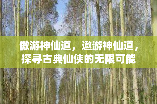 傲游神仙道,遨游神仙道,探寻古典仙侠的无限可能 傲游神仙道,遨游神仙道,探寻古典仙侠的无限可能