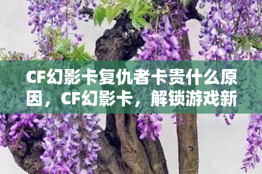 CF幻影卡复仇者卡贵什么原因,CF幻影卡,解锁游戏新体验,探索未知领域 CF幻影卡复仇者卡贵什么原因,CF幻影卡,解锁游戏新体验,探索未知领域