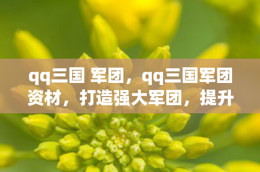 qq三国 军团,qq三国军团资材,打造强大军团,提升游戏实力 qq三国 军团,qq三国军团资材,打造强大军团,提升游戏实力