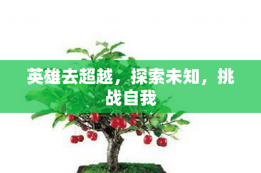 英雄去超越，探索未知，挑战自我