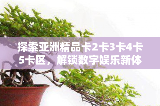 探索亚洲精品卡2卡3卡4卡5卡区，解锁数字娱乐新体验