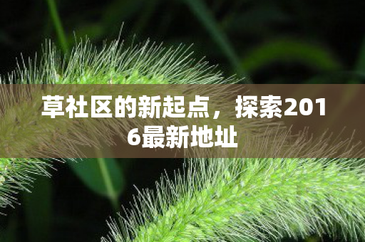 草社区的新起点,探索2016最新地址 草社区的新起点,探索2016最新地址
