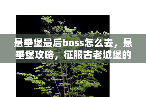 悬垂堡最后boss怎么去,悬垂堡攻略,征服古老城堡的完全指南 悬垂堡最后boss怎么去,悬垂堡攻略,征服古老城堡的完全指南