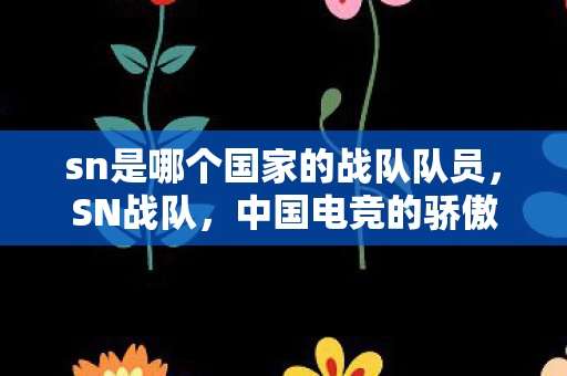 sn是哪个国家的战队队员，SN战队，中国电竞的骄傲