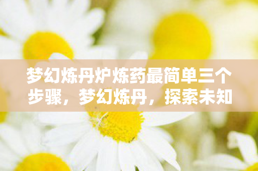 梦幻炼丹炉炼药最简单三个步骤,梦幻炼丹,探索未知世界的神秘之旅 梦幻炼丹炉炼药最简单三个步骤,梦幻炼丹,探索未知世界的神秘之旅