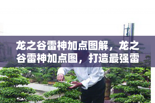 龙之谷雷神加点图解,龙之谷雷神加点图,打造最强雷神,掌握核心技能! 龙之谷雷神加点图解,龙之谷雷神加点图,打造最强雷神,掌握核心技能!