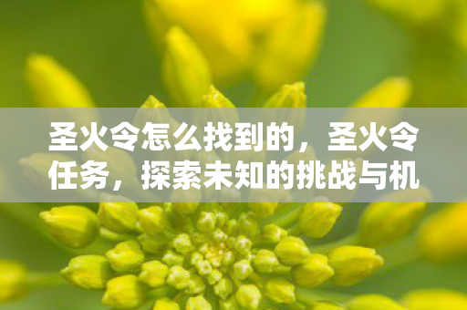 圣火令怎么找到的,圣火令任务,探索未知的挑战与机遇 圣火令怎么找到的,圣火令任务,探索未知的挑战与机遇