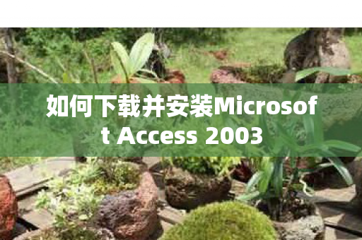 如何下载并安装Microsoft Access 2003 如何下载并安装Microsoft Access 2003