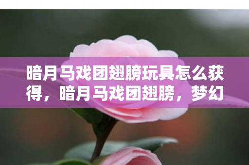 暗月马戏团翅膀玩具怎么获得,暗月马戏团翅膀,梦幻与现实的交织 暗月马戏团翅膀玩具怎么获得,暗月马戏团翅膀,梦幻与现实的交织