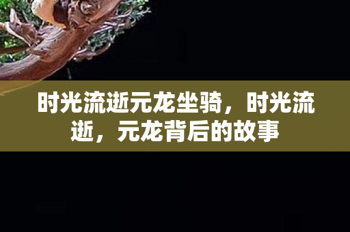 时光流逝元龙坐骑,时光流逝,元龙背后的故事 时光流逝元龙坐骑,时光流逝,元龙背后的故事